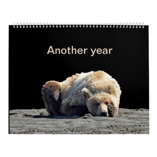 Grizzlybärenkalender Kalender (Titelbild)