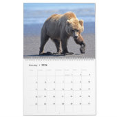Grizzlybärenkalender Kalender (Jan 2026)