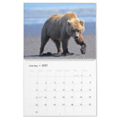 Grizzlybärenkalender Kalender (Jan 2027)