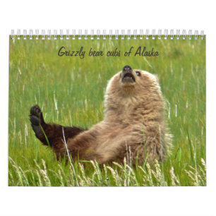 Grizzlybärjunge von Alaska-Kalender Kalender