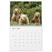 Grizzlybärjunge von Alaska-Kalender Kalender (Mär 2026)
