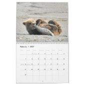 Grizzlybärjunge von Alaska-Kalender Kalender (Feb 2027)