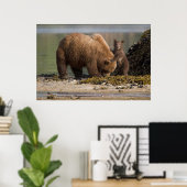 Grizzlybärmutter mit Cub am Strand Poster (Heimbüro)