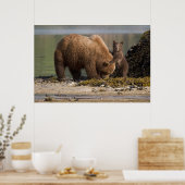 Grizzlybärmutter mit Cub am Strand Poster (Küche)
