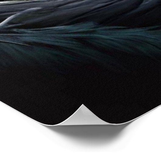 Grizzlybärwald Poster (Ecke)