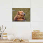 Grizzlyn im Wasser Poster (Küche)