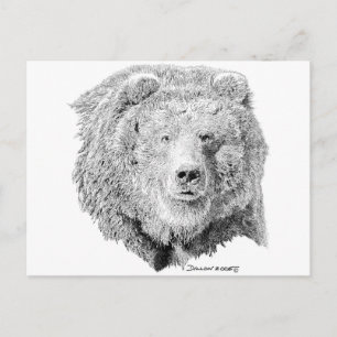 Grizzy Bear Postkarte
