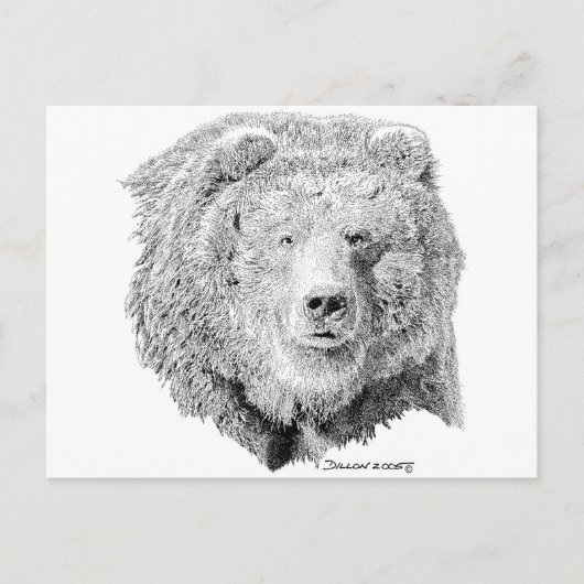 Grizzy Bear Postkarte (Vorderseite)