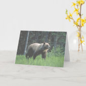 Grizzy Bear Woods Card Karte (Gelbe Blume)