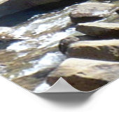 Grizzy Bears Poster (Ecke)