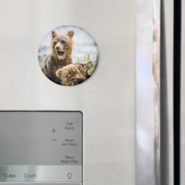 Grizzy Cubs suchen nach ihrem Mama Magnet