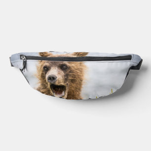 Grizzy Cubs suchen nach ihrer Mutter Bauchtasche