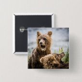 Grizzy Cubs suchen nach ihrer Mutter Button (Vorne & Hinten)