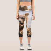 Grizzy Cubs suchen nach ihrer Mutter Capri Leggings (Vorderseite)