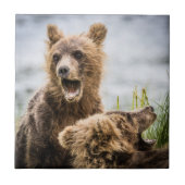 Grizzy Cubs suchen nach ihrer Mutter Fliese (Vorderseite)