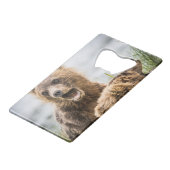 Grizzy Cubs suchen nach ihrer Mutter Geldbeutel Flaschenöffner (Rückseite Schrägansicht)