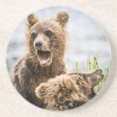Grizzy Cubs suchen nach ihrer Mutter Getränkeuntersetzer (Vorne)