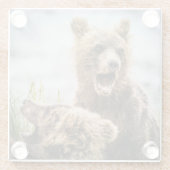 Grizzy Cubs suchen nach ihrer Mutter Glasuntersetzer (Rückseite)