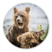 Grizzy Cubs suchen nach ihrer Mutter Keramikknauf (Vorderseite)