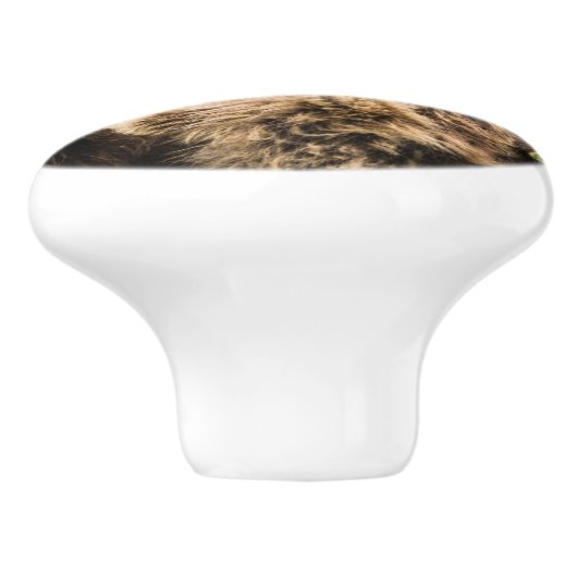 Grizzy Cubs suchen nach ihrer Mutter Keramikknauf (Seitenansicht)