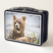 Grizzy Cubs suchen nach ihrer Mutter Metall Brotdose (Vorderseite)