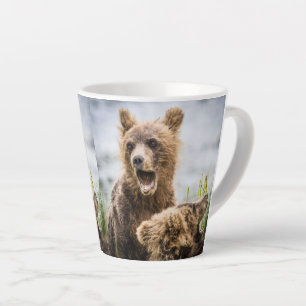 Grizzy Cubs suchen nach ihrer Mutter Milchtasse