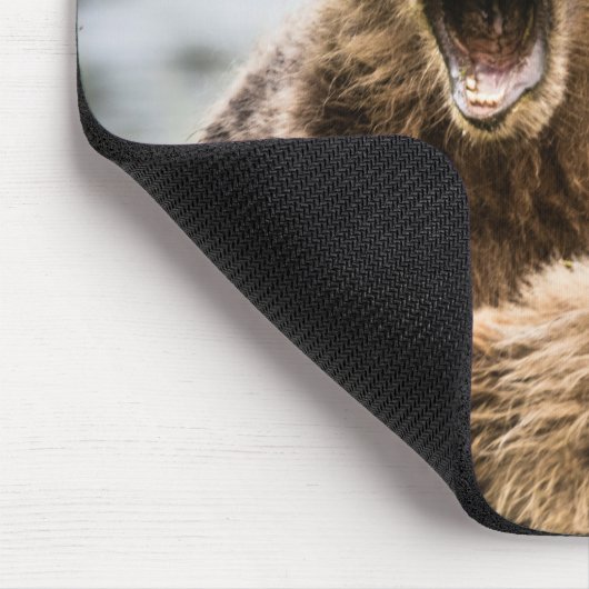 Grizzy Cubs suchen nach ihrer Mutter Mousepad (Ecke)