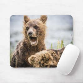 Grizzy Cubs suchen nach ihrer Mutter Mousepad