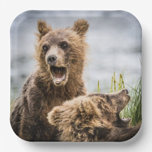 Grizzy Cubs suchen nach ihrer Mutter Pappteller (Vorderseite)