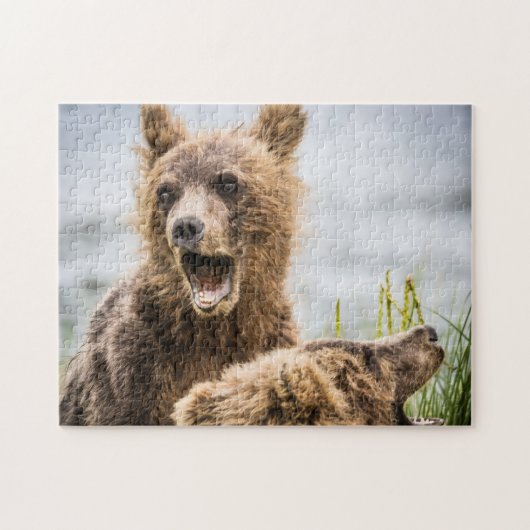 Grizzy Cubs suchen nach ihrer Mutter Puzzle (Horizontal)