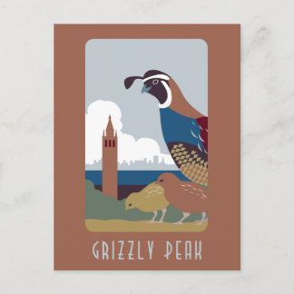 Grizzy Peak Postcard Postkarte