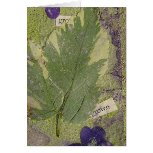 Grobgemische Medien (Vorne)