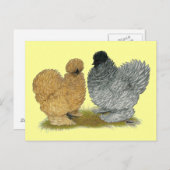 Grobhühner Postkarte (Vorne/Hinten)