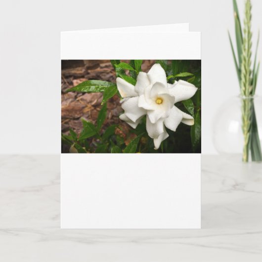 Gröden, Karte (Vorderseite)