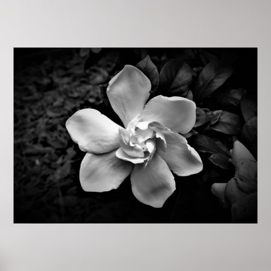 Gröden, Poster (Vorne)