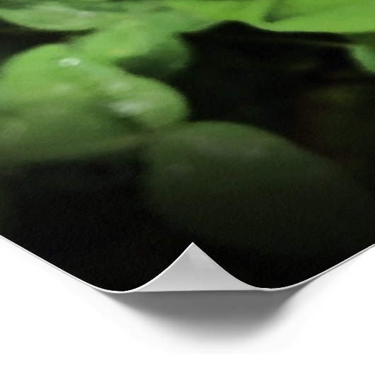 Gröden, Poster (Ecke)