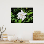 Gröden, Poster (Küche)