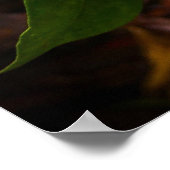 Gröden, Poster (Ecke)