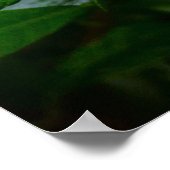 Gröden, Poster (Ecke)