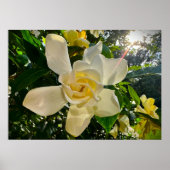 Gröden, Poster (Vorne)