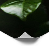 Gröden, Poster (Ecke)