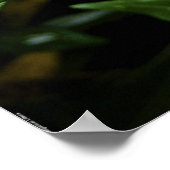 Gröden, Poster (Ecke)