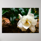 Gröden, Poster (Vorne)