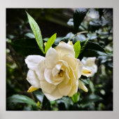 Gröden, Poster (Vorne)