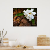 Gröden, Poster (Küche)