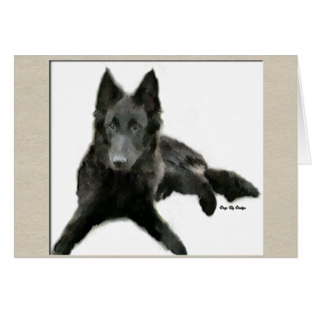 Groenendael Belgisches Schaffenhund (Vorderseite (Horizontal))