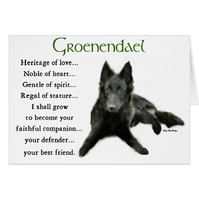 Groenendael Belgisches Schaffenhund (Vorderseite (Horizontal))