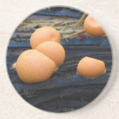 Groenings die Milch des Wolfs Schlamm Lycogala Untersetzer (Vorne)