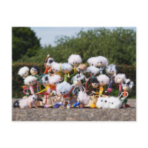 Groepsfoto van de Fubby's. Een vrolijk volkje.