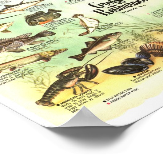 Groffs Tischset 8x10 Poster (Ecke)